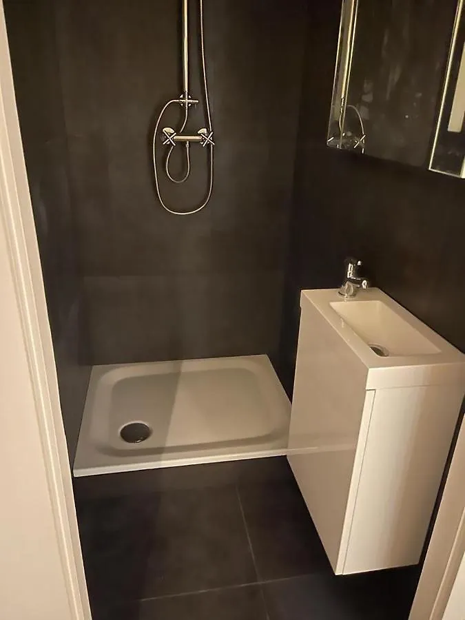 ז'נבה 5 Rooms In The Same House