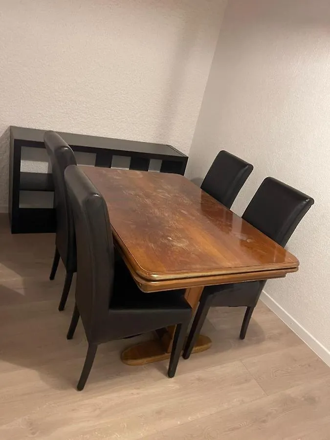ז'נבה 5 Rooms In The Same House שוויץ