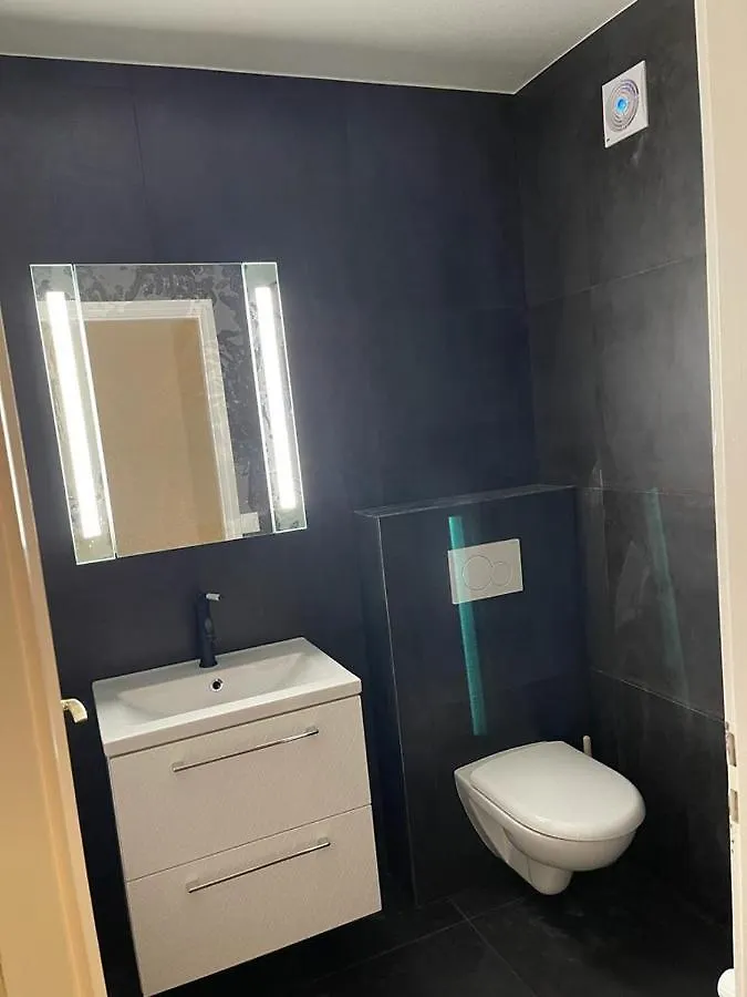 ז'נבה 5 Rooms In The Same House דירה